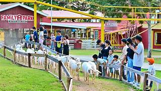 Family Park: Wild Section Admission Ticket